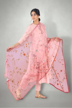 Blush Pink Aari &  Mirror Work Suit Set